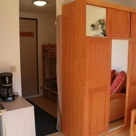 Châtel, 1 Pièce, 3 Personnes - Fr-1-200-310 *